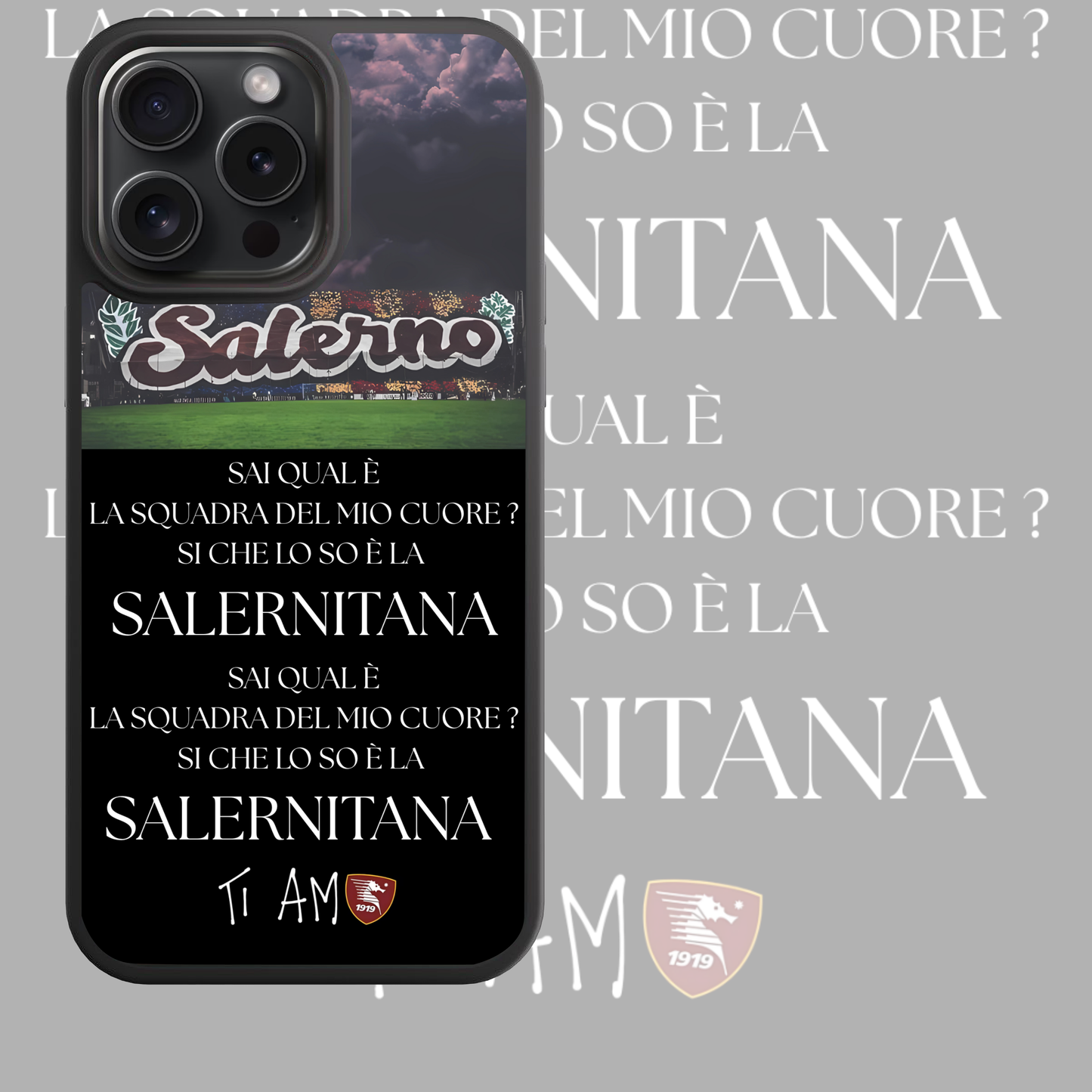 COVER CORO SALERNIT
