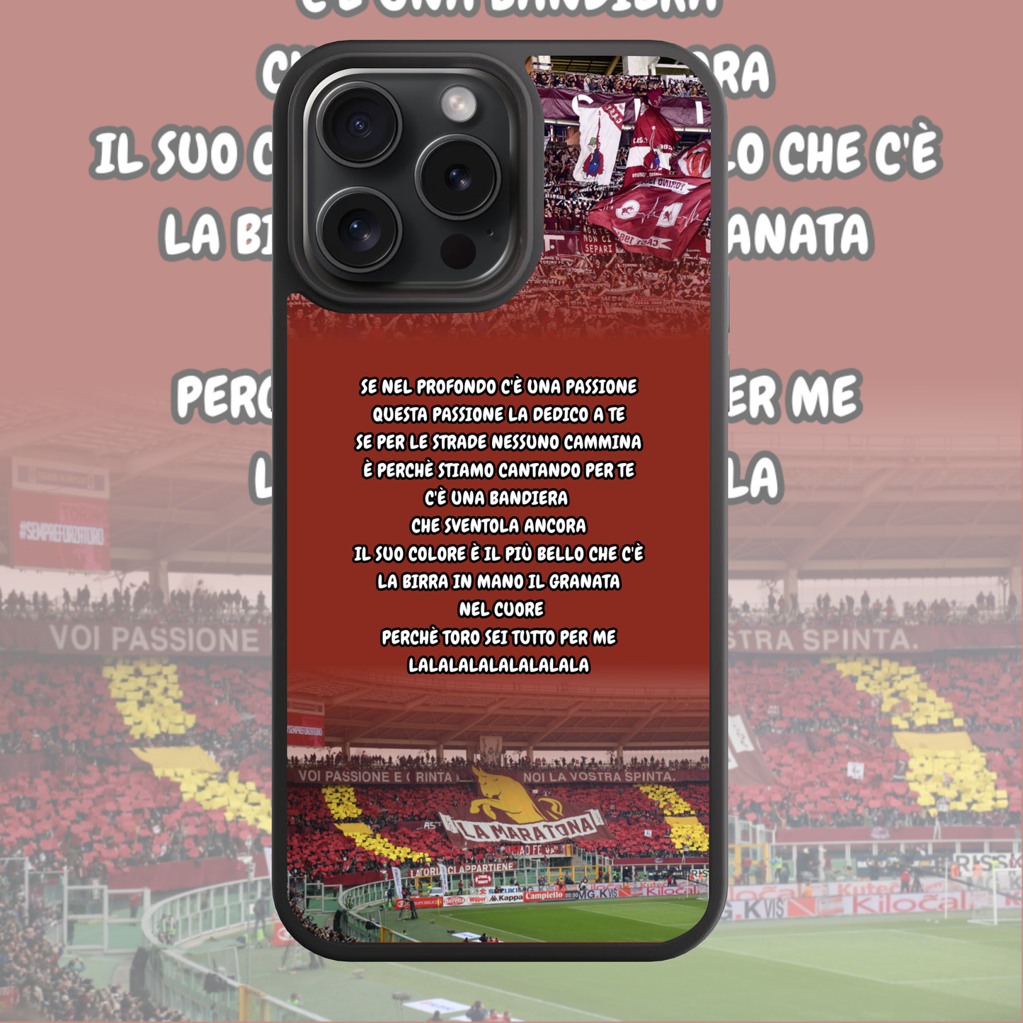 COVER CORO TORO