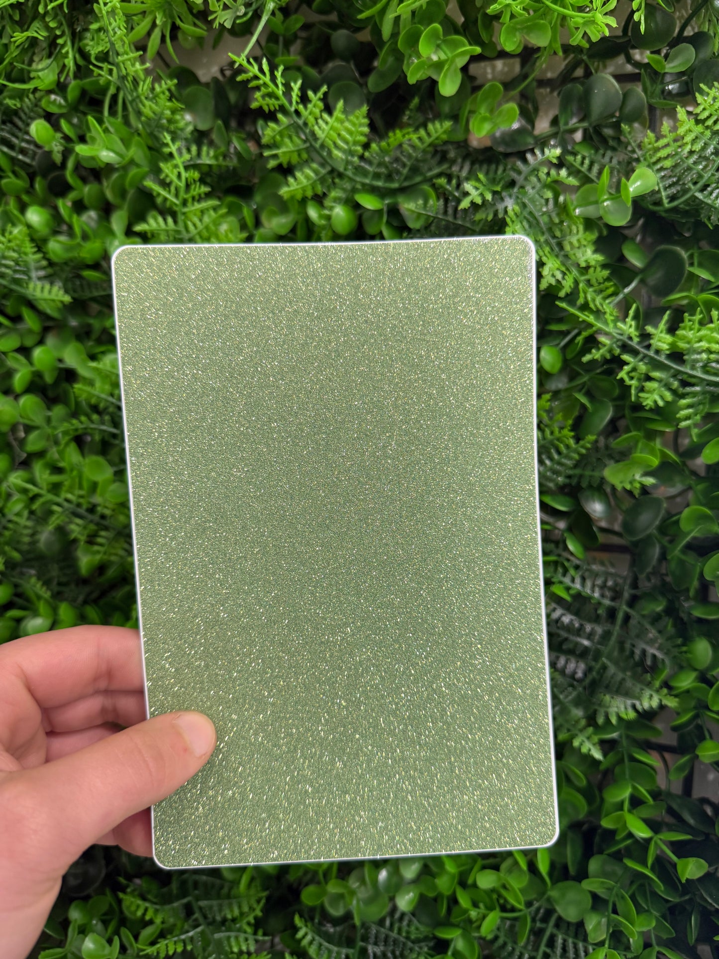 Pellicola Back Skin