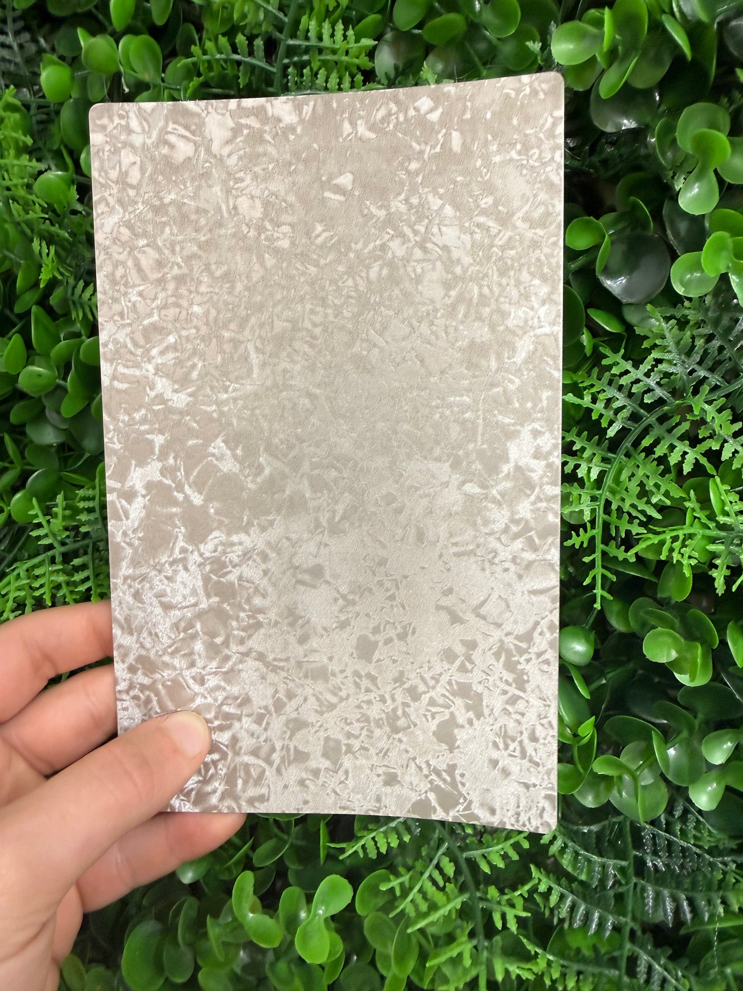 Pellicola Back Skin