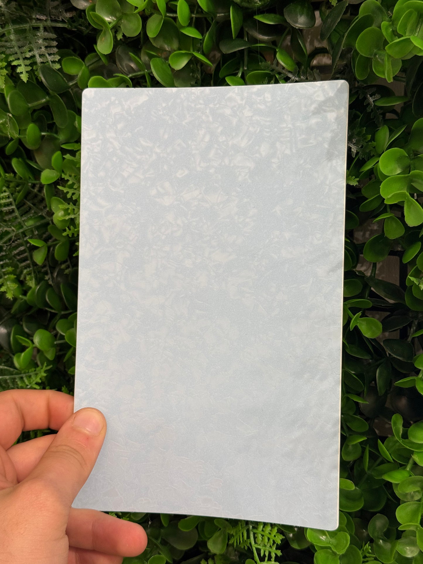 Pellicola Back Skin
