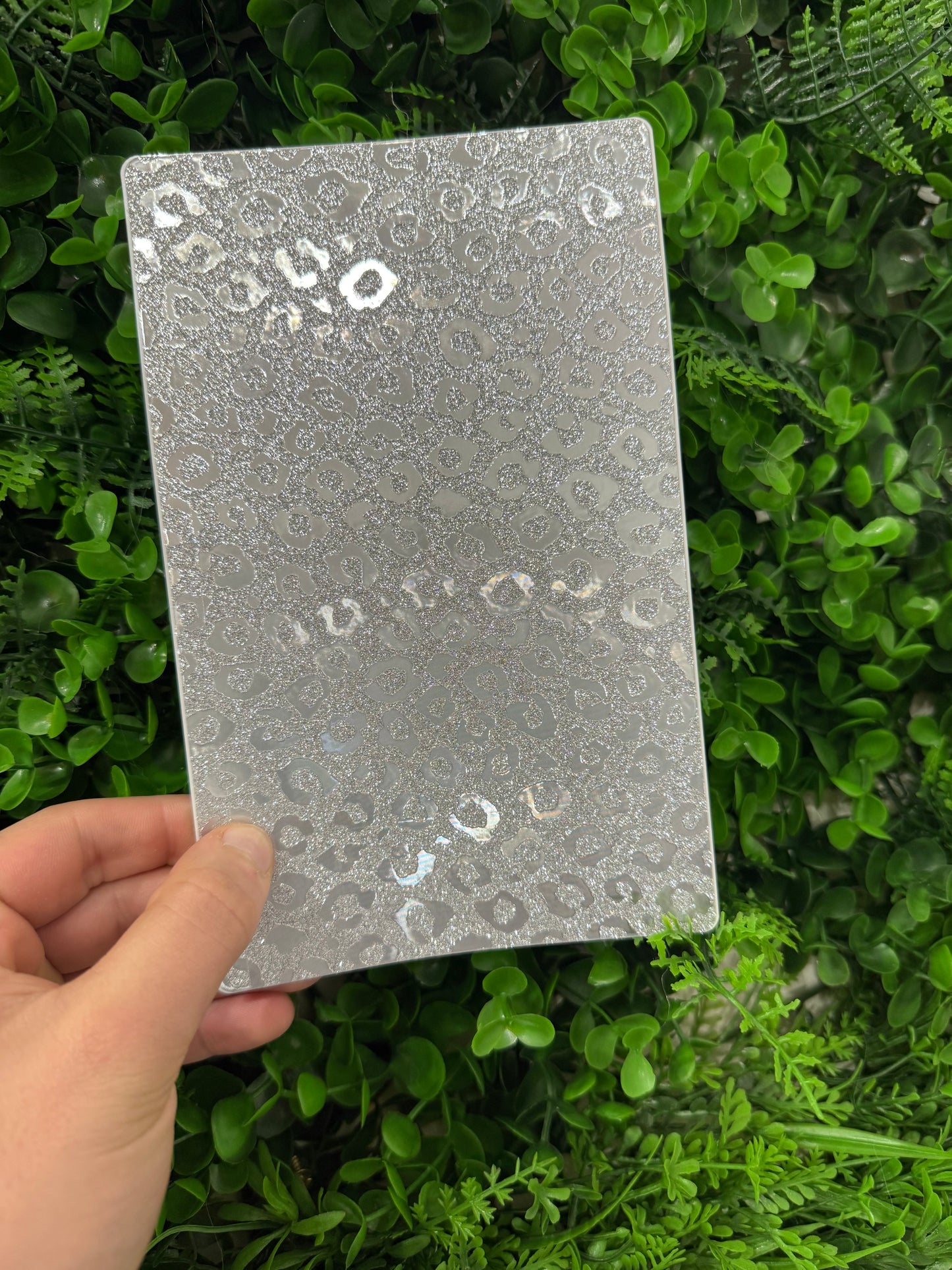 Pellicola Back Skin