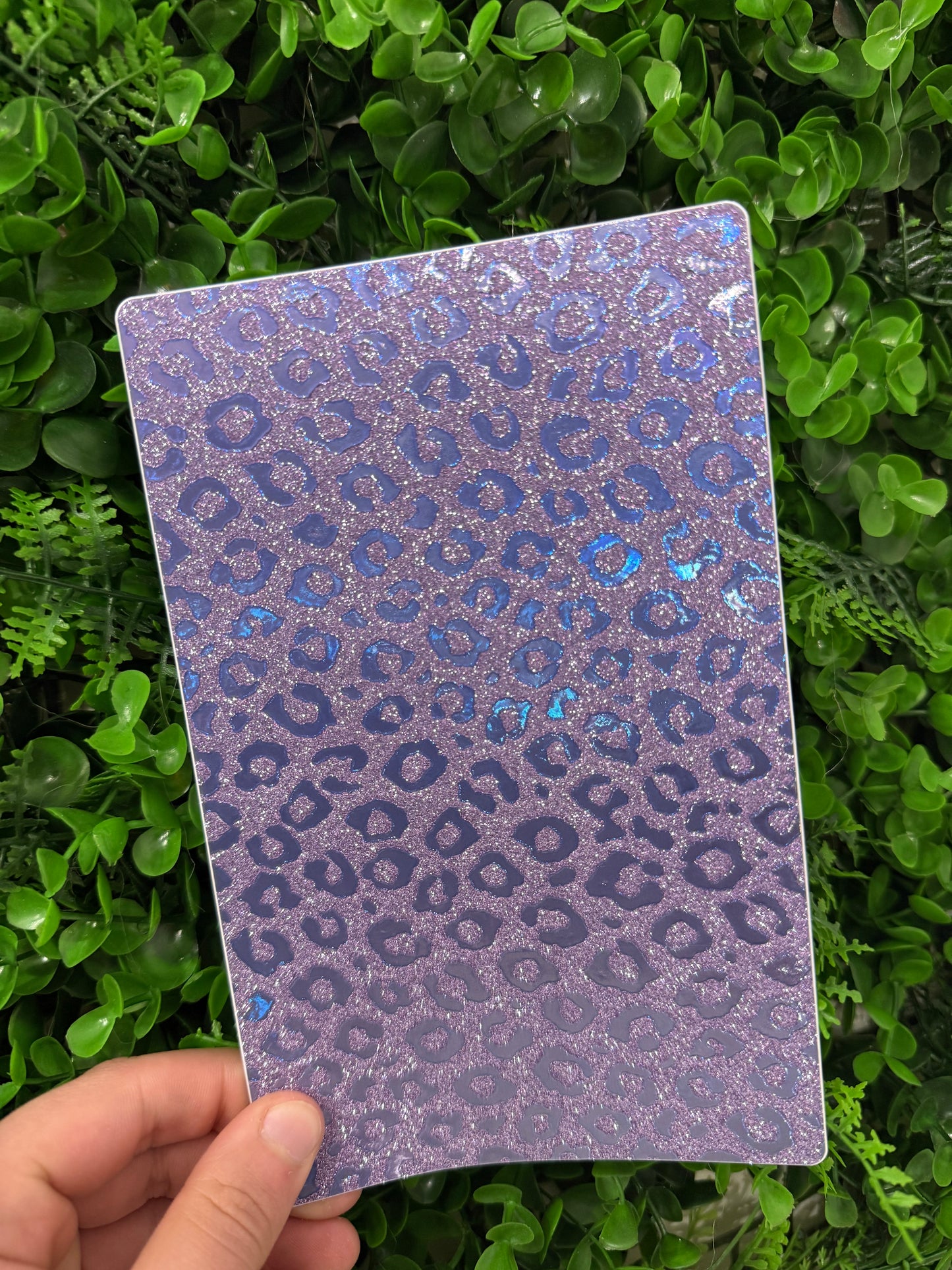 Pellicola Back Skin