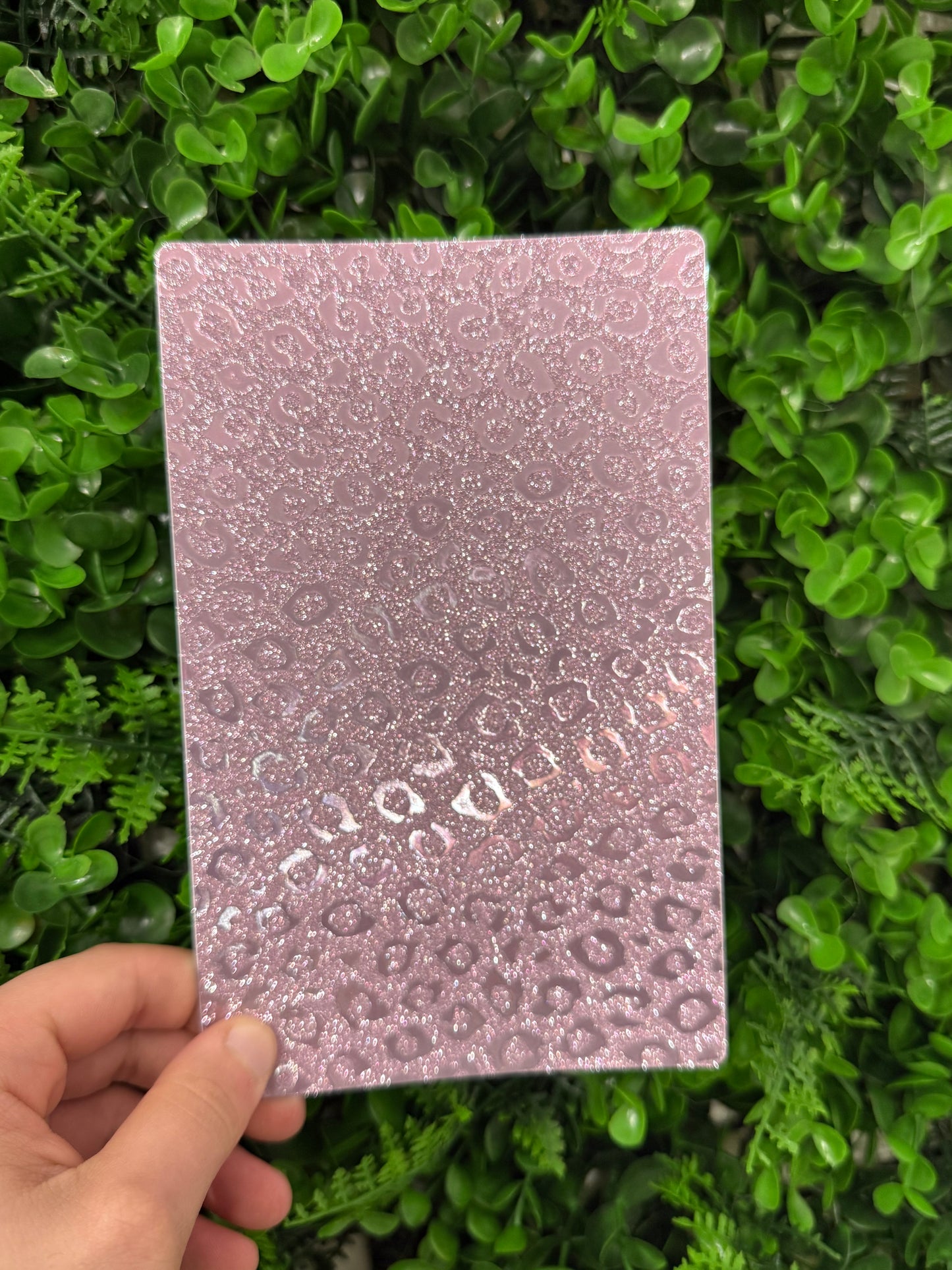 Pellicola Back Skin
