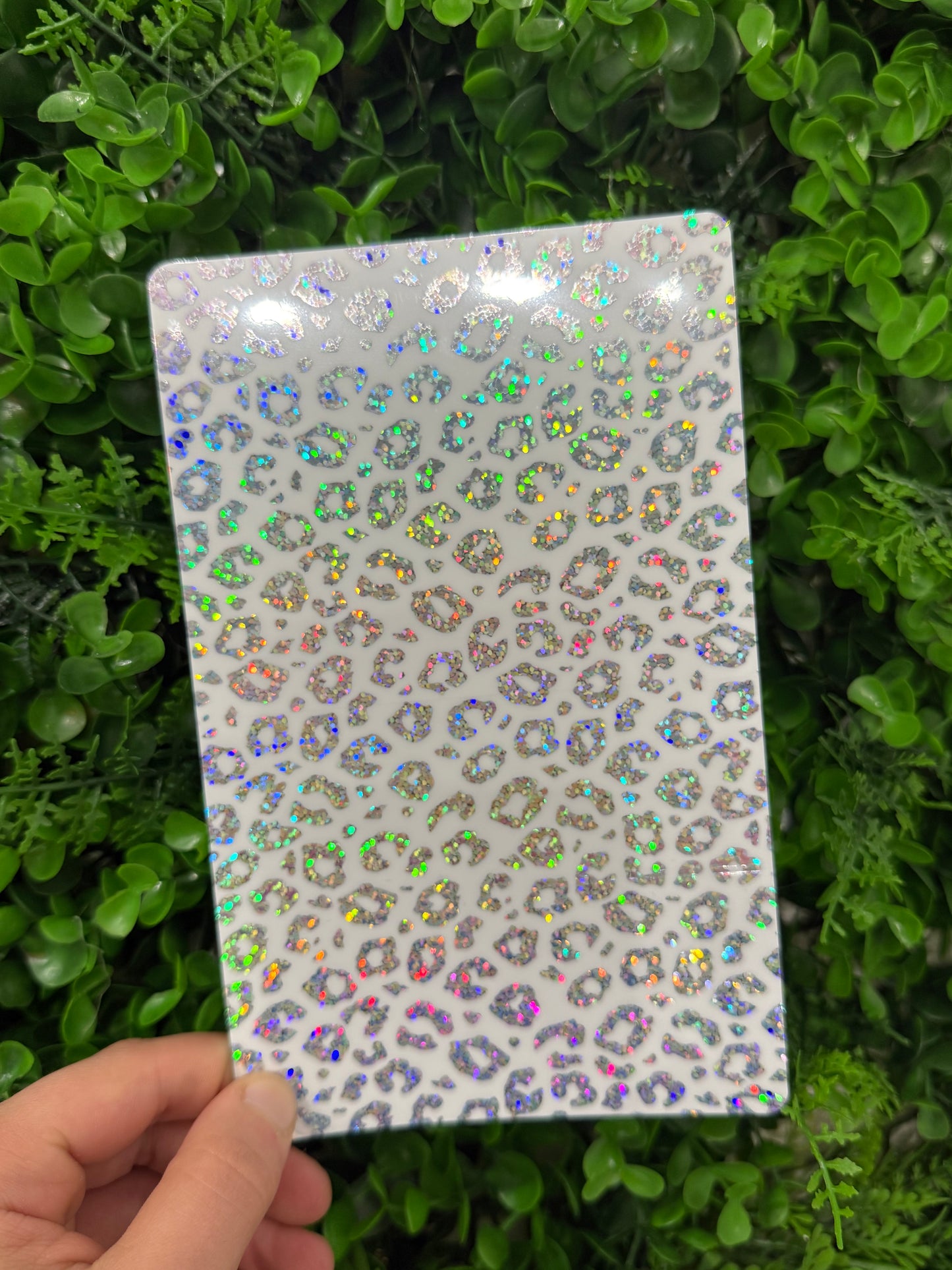 Pellicola Back Skin